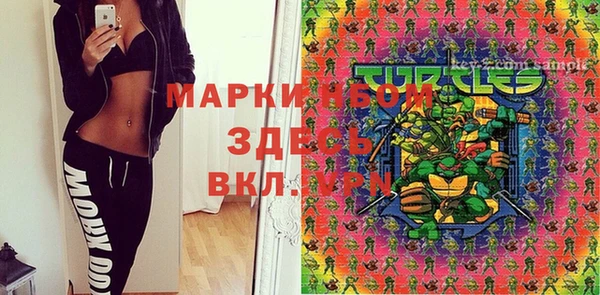 соль ск Абаза
