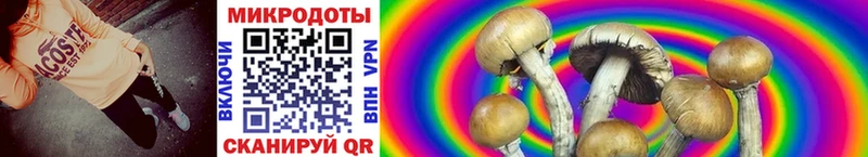 даркнет сайт  Томари  Галлюциногенные грибы MAGIC MUSHROOMS 